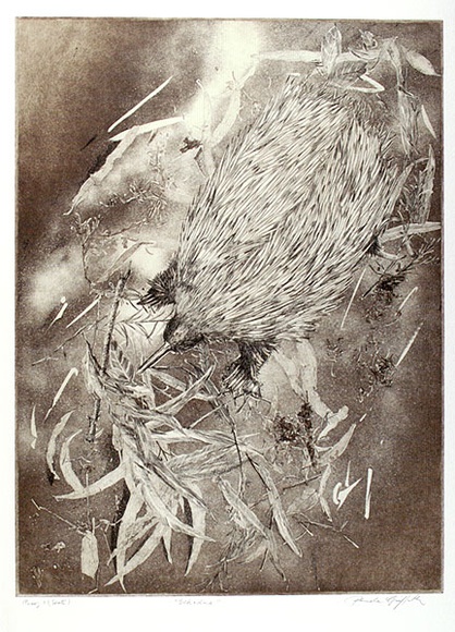 Artist: b'GRIFFITH, Pamela' | Title: b'Echidna' | Date: 1980 | Technique: b'etching, soft ground, spray resist printed in brown, from one zinc plate' | Copyright: b'\xc2\xa9 Pamela Griffith'