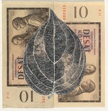 Artist: HALL, Fiona | Title: Cornus mas - Cornelian cherry (Czechoslovakian currency) | Date: 2000 - 2002 | Technique: gouache | Copyright: © Fiona Hall