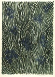 Artist: Weir, Barbara. | Title: Cornflower dreaming | Date: 2002, April | Technique: lithograph, printed in colour, from three stones