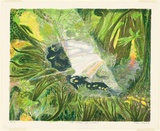 Artist: Robinson, William. | Title: Creation landscape - water and land II (rainforest) | Date: 1991 | Technique: lithograph, printed in colour ink, from multiple stones