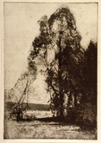 Artist: LONG, Sydney | Title: Pastoral softground | Date: 1918 | Technique: softground-etching, printed in warm black ink, from one zinc plate | Copyright: Reproduced with the kind permission of the Ophthalmic Research Institute of Australia