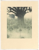 Artist: Nix, Jonathon. | Title: Celestial canopy | Date: 1990 | Technique: etching, drypoint and aquatint, printed in green ink, from one plate