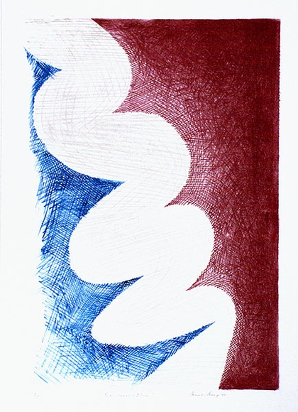 Artist: b'Sharp, James.' | Title: b'Red versus blue' | Date: 1975 | Technique: b'lithograph, printed in colour, from multiple stones [or plates]' | Copyright: b'\xc2\xa9 Estate of James Sharp'