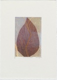 Artist: Wright, Helen. | Title: (Maroon leaf, yellow coral design background) | Date: 2000 | Technique: digital print, printed in colour, from digital file