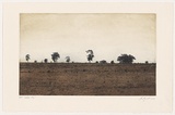 Artist: Grant, Ian. | Title: White sky | Date: 2007 | Technique: etching and aquatint, printed in colour, from multiple plates