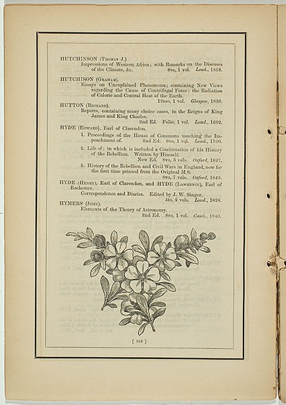 Title: b'not titled [hibbertia pultenaei].' | Date: 1861 | Technique: b'woodengraving, printed in black ink, from one block'