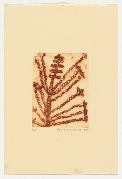 Artist: b'Marshall, Petra.' | Title: b'not titled [plant]' | Date: 2004 | Technique: b'drypoint etching, printed in brown ink, from one perspex plate'