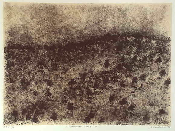 Artist: b'Lankester, Jo.' | Title: b'Homestead gorge II' | Date: 1996, July | Technique: b'lithograph, printed in black ink, from one stone; cream tint'
