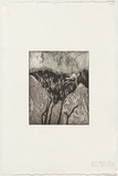 Artist: Rambeau, Marc. | Title: Bush | Technique: etching and aquatint, printed in warm black ink, from one plate