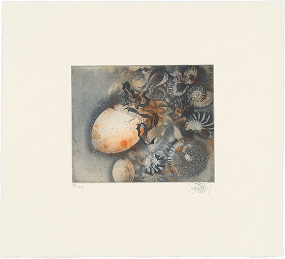 Title: b'Rosedale Beach' | Date: 2002 | Technique: b'softground-etching and aquatint, printed in colour, from two plates; hand-coloured'