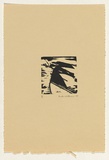 Artist: b'Withers, Rod.' | Title: b'Woodcut: from the set Australian birds of prey or the rogue sparrow' | Date: 1979 | Technique: b'woodcut, printed in black ink, from one block'