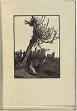 Artist: b'LINDSAY, Lionel' | Title: b'The broken fence' | Date: 1924 | Technique: b'woodengraving, printed in black ink, from one block' | Copyright: b'Courtesy of the National Library of Australia'