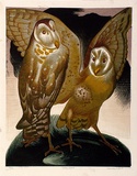 Artist: b'GRIFFIN, Murray' | Title: b'Golden owls' | Date: 1951 | Technique: b'linocut, printed in colour, from multiple blocks'