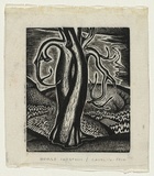 Artist: Rosenstengel, Paula. | Title: Horse chestnut, Capel-y-ffin | Date: c.1940 | Technique: wood-engraving, printed in black ink, from one block