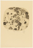 Artist: b'Olsen, John.' | Title: b'Flowers and storm' | Date: 1976 | Technique: b'aquatint and deep etching, printed in warm black ink with plate-tone, from one plate' | Copyright: b'\xc2\xa9 John Olsen. Licensed by VISCOPY, Australia'