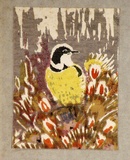 Artist: b'Palmer, Ethleen.' | Title: b'(Bird sitting in a group of banksias)' | Date: c.1955 | Technique: b'screenprint, printed in colour, from multiple stencils'