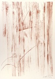 Artist: BOYD, Arthur | Title: (Trees). | Date: (1978) | Technique: lithograph, printed in black ink, from one stone [or plate]