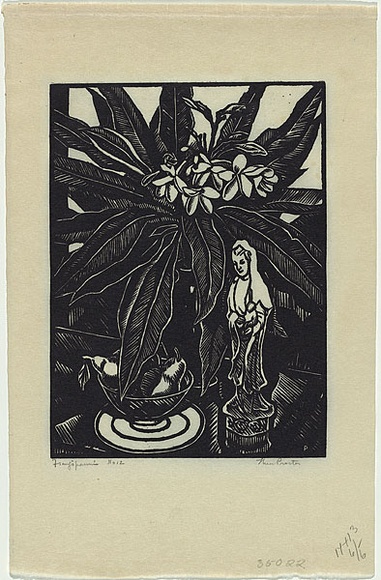 Artist: b'Proctor, Thea.' | Title: b'Frangipanni' | Date: 1928 | Technique: b'woodcut, printed in black ink, from one block' | Copyright: b'\xc2\xa9 Art Gallery of New South Wales'
