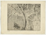 Artist: b'Cilento, Margaret.' | Title: b'Tree in spring.' | Date: 1949 | Technique: b'etching and aquatint, printed in black ink with plate-tone, from one  plate'