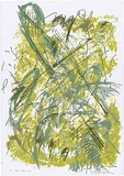 Artist: b'MEYER, Bill' | Title: b'Bush study green' | Date: 1987 | Technique: b'screenprint, printed in colour, from multiple stencils (indirect reduction)' | Copyright: b'\xc2\xa9 Bill Meyer'