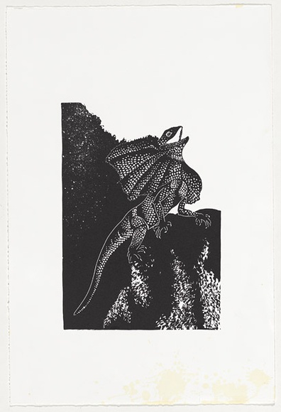 Artist: Thorpe, Lesbia. | Title: not titled (lizard) | Technique: linocut, printed in black ink, from one block