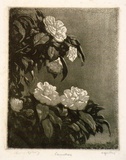 Artist: LINDSAY, Lionel | Title: Camellias | Date: 1922 | Technique: spirit-aquatint, printed in black ink, from one plate | Copyright: Courtesy of the National Library of Australia