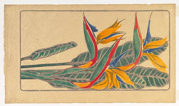 Artist: b'Mort, Eirene.' | Title: b'Strelitzia' | Date: c.1930 | Technique: b'stencil print, printed in colour, from multiple paper stencils'