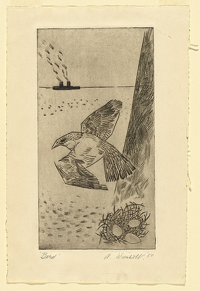 Artist: b'Wienholt, Anne.' | Title: b'Bird' | Date: 1950 | Technique: b'line-engraving, printed in black ink with plate-tone, from one copper plate'