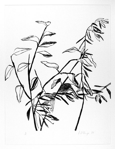 Artist: bL'Estrange, Sally. | Title: b'Gum and olive branches holding hands' | Date: 1985 | Technique: b'lithograph, printed in black ink, from one stone [or plate]'