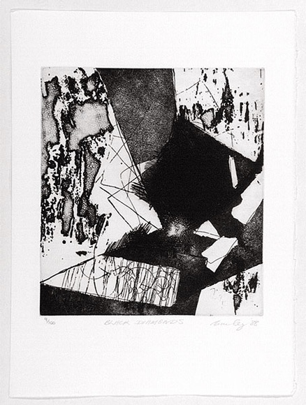 Artist: b'Bailey, Kenneth W.' | Title: b'Black diamonds.' | Date: 1988 | Technique: b'etching, printed in black ink, from one plate'