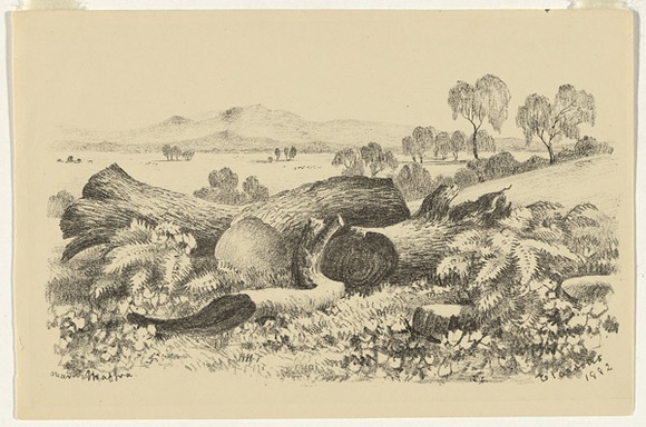 Artist: b'Parsons, Elizabeth.' | Title: b'Near Maffra' | Date: 1882 | Technique: b'lithograph, printed in black ink, from one stone'