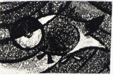 Artist: b'WILLIAMS, Fred' | Title: b'Little fish' | Date: 1961 | Technique: b'etching, aquatint and engraving, printed in black ink, from one copper plate' | Copyright: b'\xc2\xa9 Fred Williams Estate'