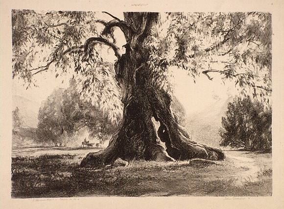Artist: GOODCHILD, John | Title: Afternoon light | Date: 1929 | Technique: lithograph, printed in black ink, from one stone