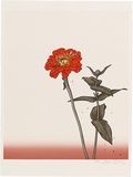 Artist: b'Rose, David.' | Title: b'Large Zinnia' | Date: 1994 | Technique: b'screenprint, printed in colour, from multiple stencils'