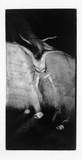 Artist: b'Lohse, Kate.' | Title: b'Integrity and the pits 3' | Date: 1984 | Technique: b'etching, printed in black ink, from one plate'