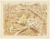 Artist: b'MACQUEEN, Mary' | Title: b'Cockatoo country' | Date: 1964 | Technique: b'lithograph, printed in colour, from multiple plates' | Copyright: b'Courtesy Paulette Calhoun, for the estate of Mary Macqueen'