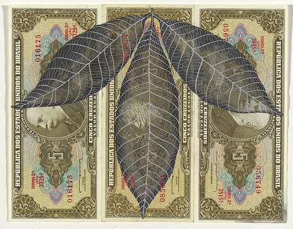 Artist: b'HALL, Fiona' | Title: b'Hevea brasiliensis - Rubber (Brazilian currency)' | Date: 2000 - 2002 | Technique: b'gouache' | Copyright: b'\xc2\xa9 Fiona Hall'