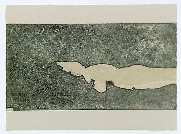 Artist: b'HODGKIN, Jonathan' | Title: b'Envoy [4]' | Date: 1995 | Technique: b'etching and woodblock, printed in colour, from multiple plates/blocks'