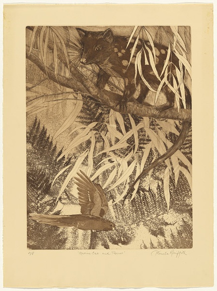 Artist: b'GRIFFITH, Pamela' | Title: b'Native cat and parrot' | Date: 1984 | Technique: b'hard ground, aquatint, soft ground and spray stencil on one, zinc' | Copyright: b'\xc2\xa9 Pamela Griffith'