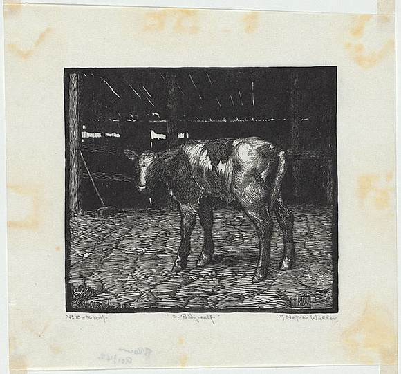 Artist: Waller, M. Napier. | Title: The poddy calf | Date: c.1925 | Technique: linocut, printed in black ink, from one block