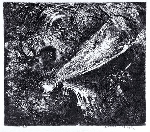 Artist: b'BOYD, Arthur' | Title: bFalling figure with beast's head. | Date: (1962-63) | Technique: b'etching and aquatint, printed in black ink, from one plate' | Copyright: b'Reproduced with permission of Bundanon Trust'