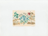 Artist: BRADHURST, Jane | Title: Kimberley rose, bird flower and wild solanum, Bungle Bungles WA. | Date: 1997 | Technique: lithograph, printed in colour, from multiple stones; hand-coloured