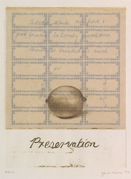 Artist: b'Neilson, Janet.' | Title: b'Preservation' | Date: 1999, February | Technique: b'etching, printed in colour, from two plates'