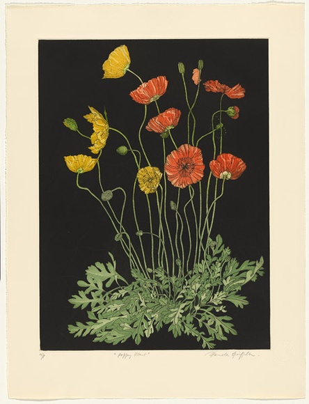 Artist: b'GRIFFITH, Pamela' | Title: b'Poppy Plant' | Date: 1988 | Technique: b'hardground-etching and aquatint, printed in colour, from two copper plates' | Copyright: b'\xc2\xa9 Pamela Griffith'