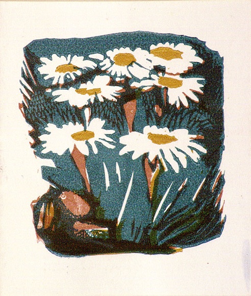 Artist: b'OGILVIE, Helen' | Title: b'Greeting card: Snow daisy. (Print designed as christmas card)' | Date: c.1951 | Technique: b'linocut, printed in colour, from multiple blocks'