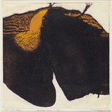 Artist: b'Hodgkinson, Frank.' | Title: b'Landscape inside...hot' | Date: 1971 | Technique: b'hard ground etching and deep etching, printed by the oil viscosity method, from one plate [orange]'