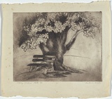Artist: b'Brash, Barbara.' | Title: b'Fitzroy Gardens, Melbourne.' | Date: 1946 | Technique: b'etching printed with plate-tone in black/brown ink from one plate'