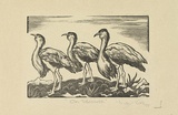 Artist: b'Voke, May.' | Title: b'On parade' | Date: 1933 | Technique: b'wood-engraving, printed in black ink, from one block'