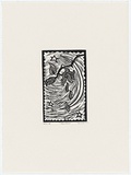 Artist: b'Dellal, Zerin.' | Title: b'New rose' | Date: 1989 | Technique: b'linocut, printed in black ink, from one block'