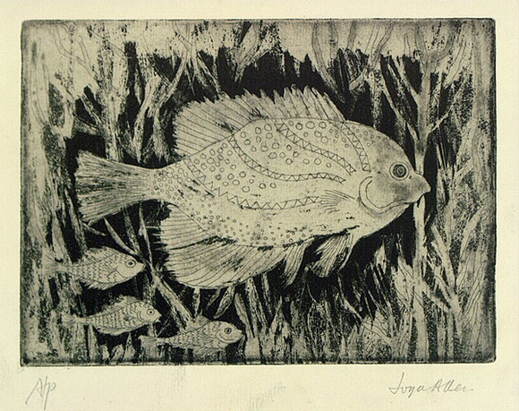 Artist: b'Allen, Joyce.' | Title: b'(Fishes).' | Date: (1960-62) | Technique: b'etching and aquatint printed in black ink with plate-tone, from one  plate'